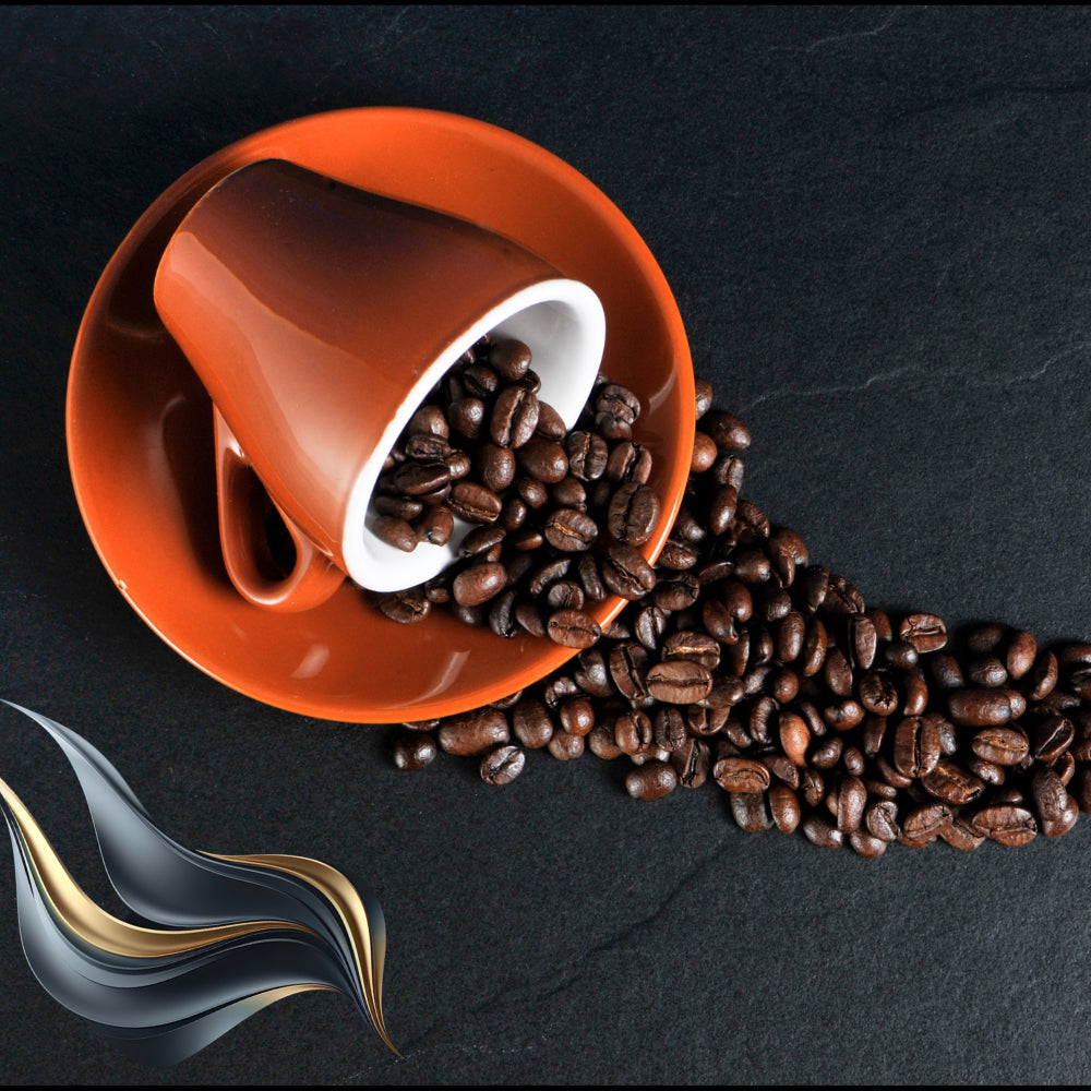 Get to know the latest offers